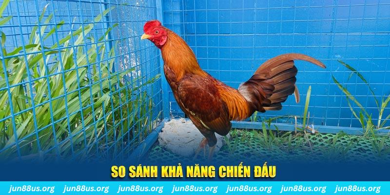 jun88 vip xổ số tiền giang
