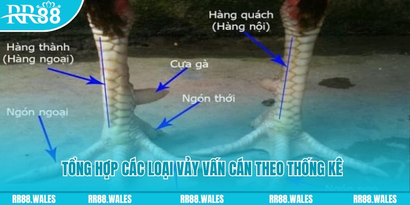 jun88 vip nổ hũ chơi như thế nào