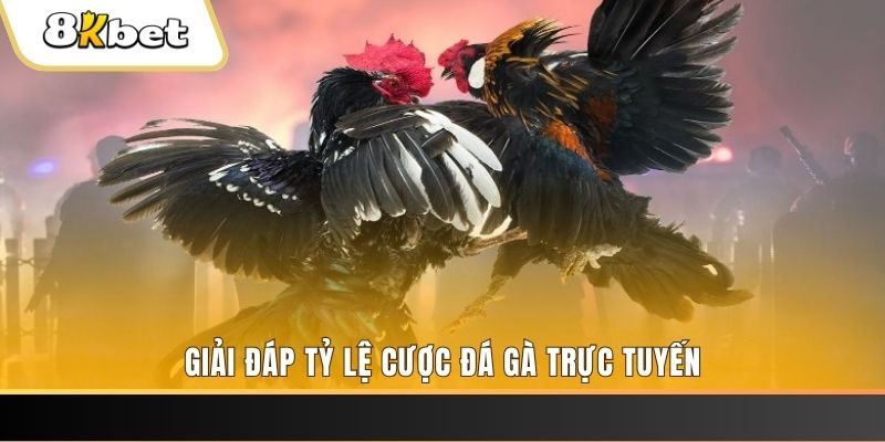jun88 vip xổ số ba đài