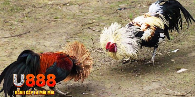 jun88 vip game nổ hũ là gì